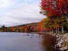 fallcolorsducks.jpg (60526 bytes)