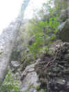 img_0572.jpg (46735 bytes)