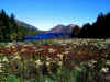jordanpond1.JPG (89907 bytes)