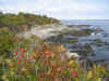 mainecoast1.jpg (74600 bytes)